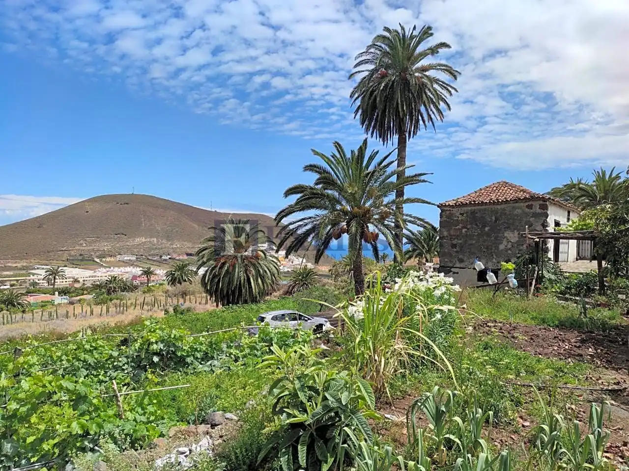 Country homes for sale in Buenavista del Norte