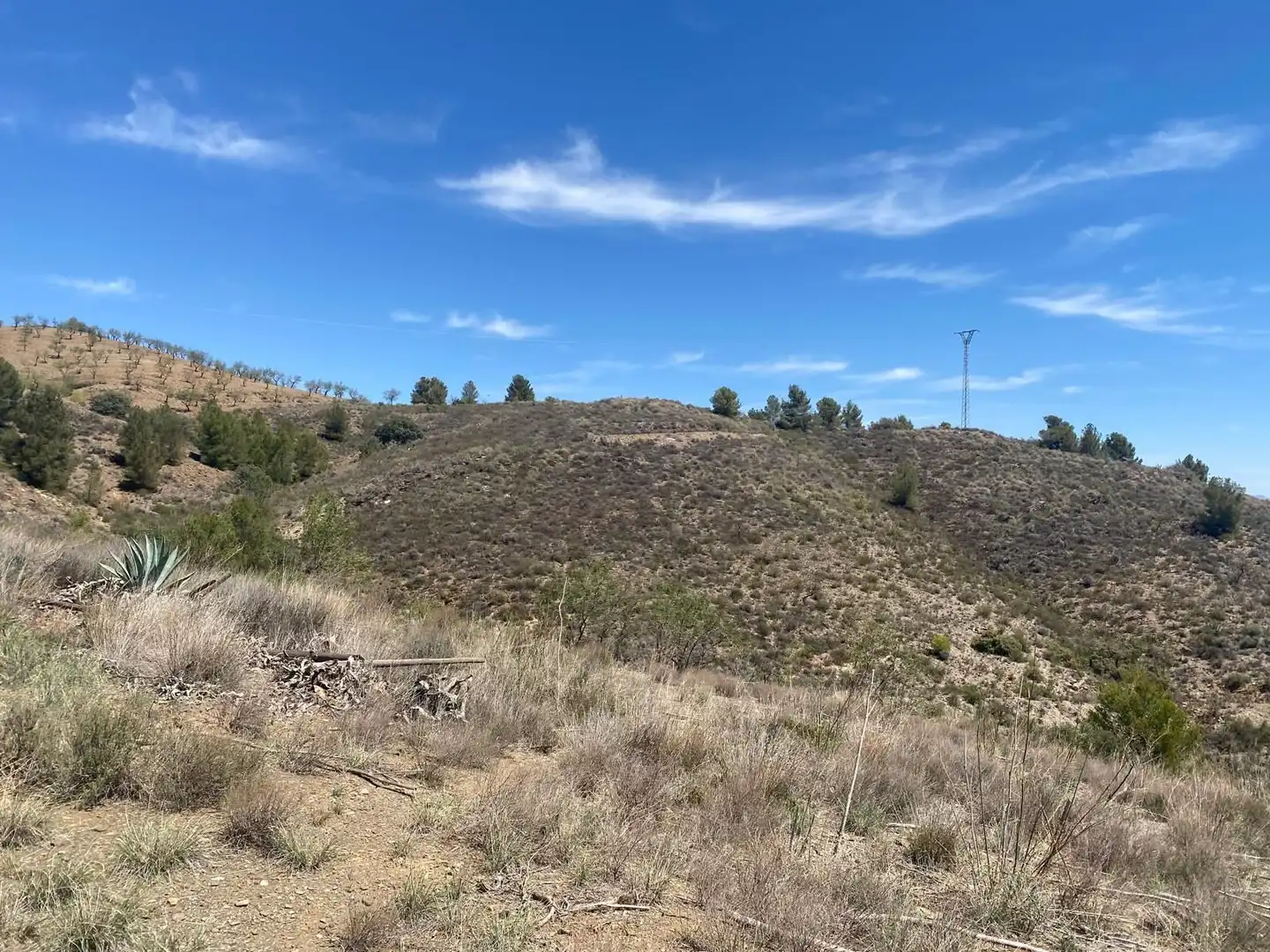 Terreno rustico in vendita a Pedanías Centro, imagen 7