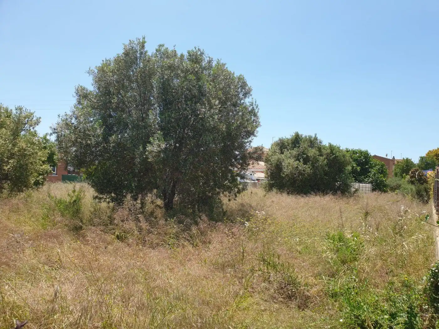 Terreny residencial en venda a Els Masos - Els Garrofers, imagen 3