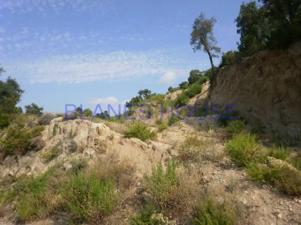 Terreno residencial en venta en Riudarenes, imagen 5