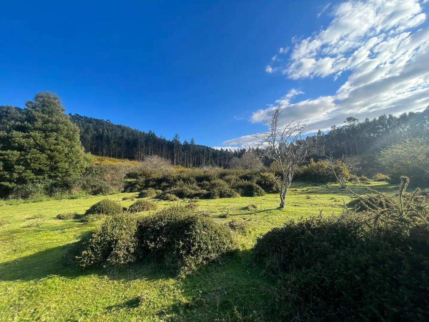 Terreno rustico in vendita a O Rosal, imagen 21