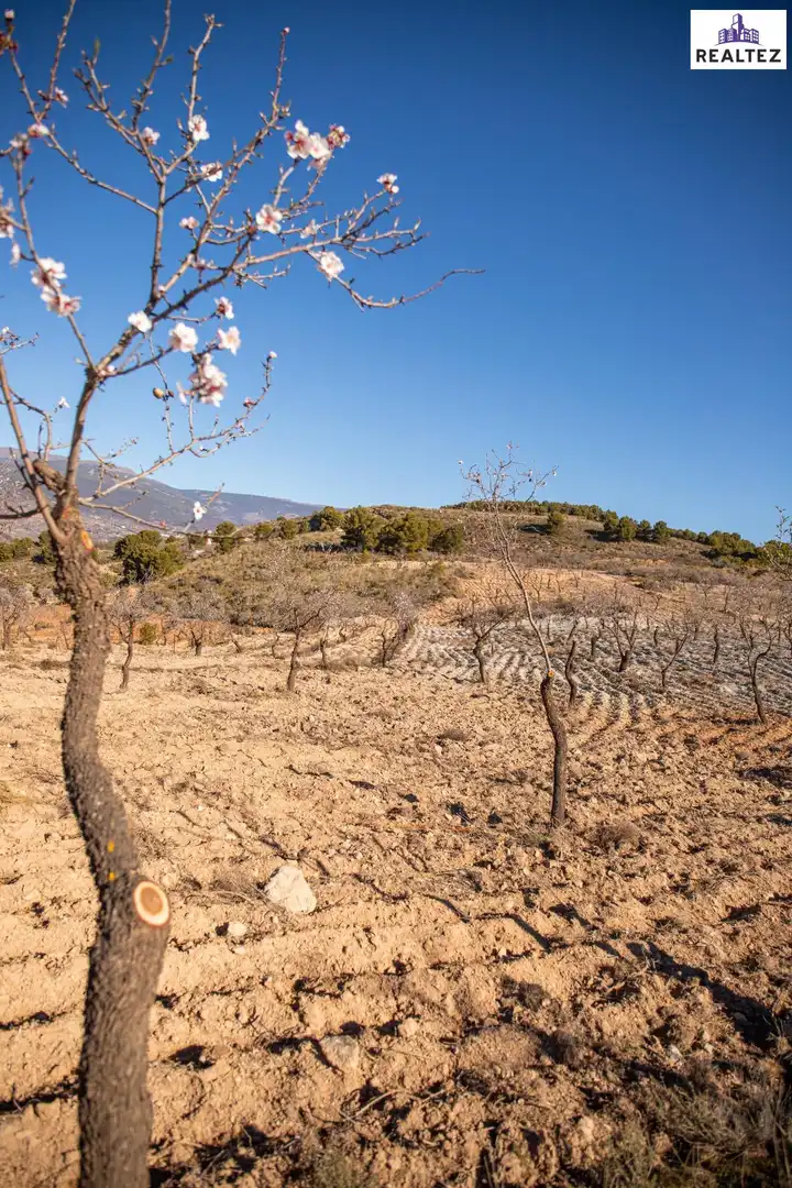 Rural land for sale in Laujar de Andarax, imagen 10