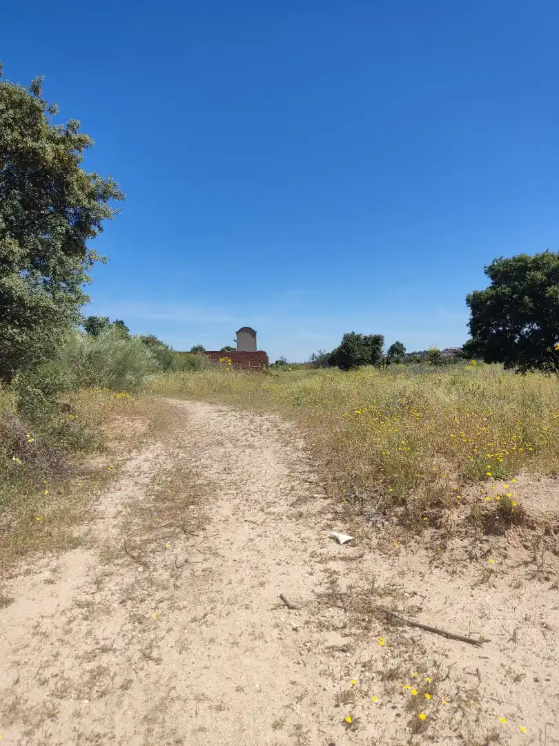 Land for sale in Navalcarnero