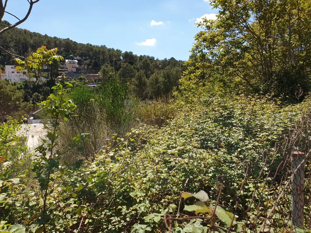 Rustikales Grundstück zum Verkauf in Ps Sant Lluis, imagen 12