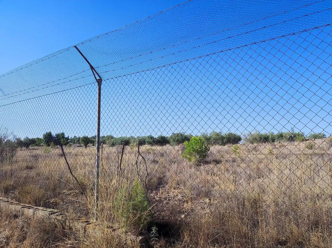 Finca rústica en venda en Tobarra amb Jardí privat, Terrassa i Traster