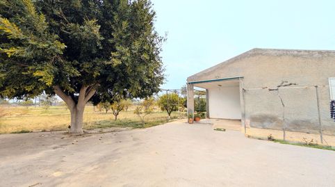 Photo 4 of Houses for sale in Valverde, Elche / Elx