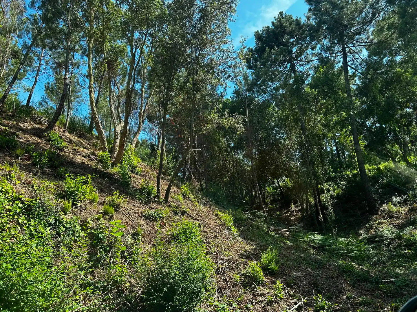 Terreno residencial en venta en Lloret Blau - La Creu de Lloret, imagen 12