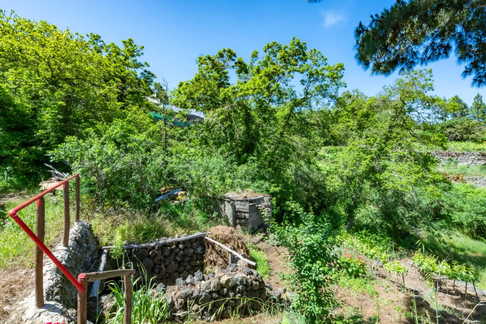 Casa rústica en venta en Icod de los Vinos pueblo, imagen 10