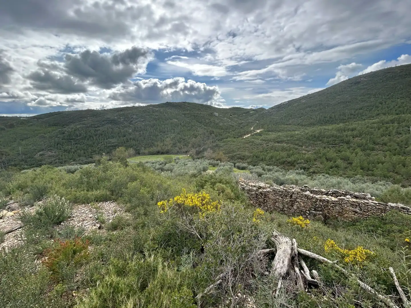 Land for sale in Biure