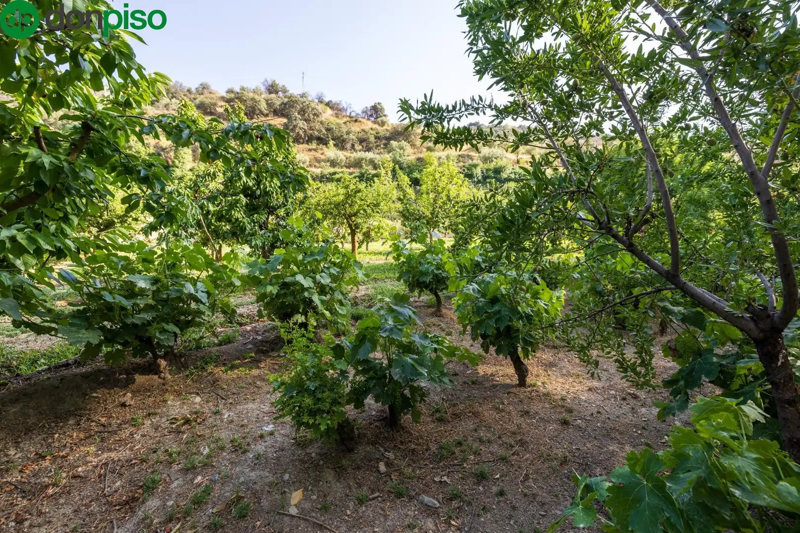 Terreno en venta en Paseo Paseo Duquesa, Pinos Genil