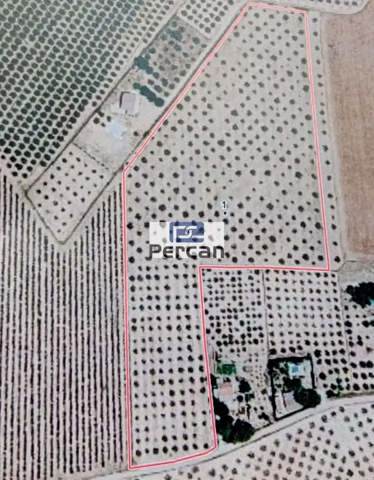 Terrenos y solares en venta en Mariscal