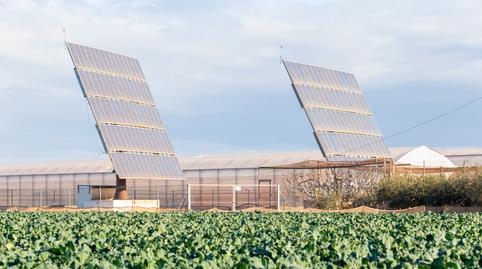 Foto 4 de Finca rústica en venda a Pozo Estrecho, Murcia
