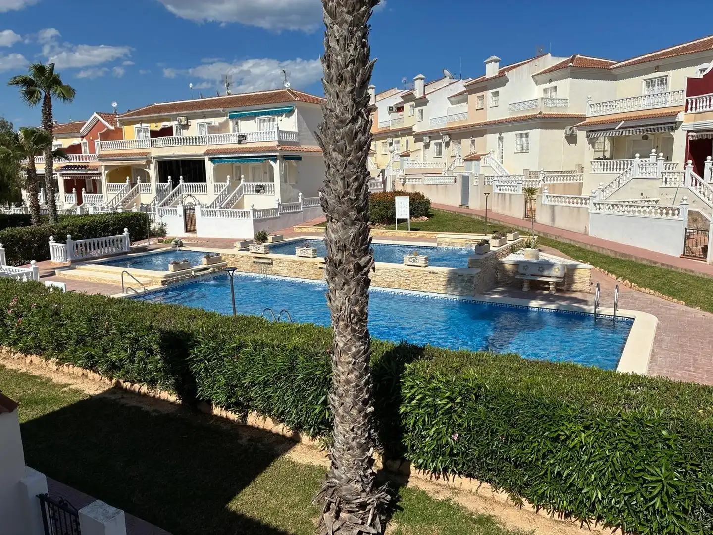 Schwimmbecken von Haus oder Chalet zum Verkauf in Benijófar mit Privatgarten und Gemeinschaftspool