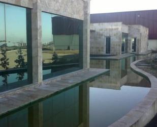 Swimming pool of Industrial buildings for sale in Daimiel