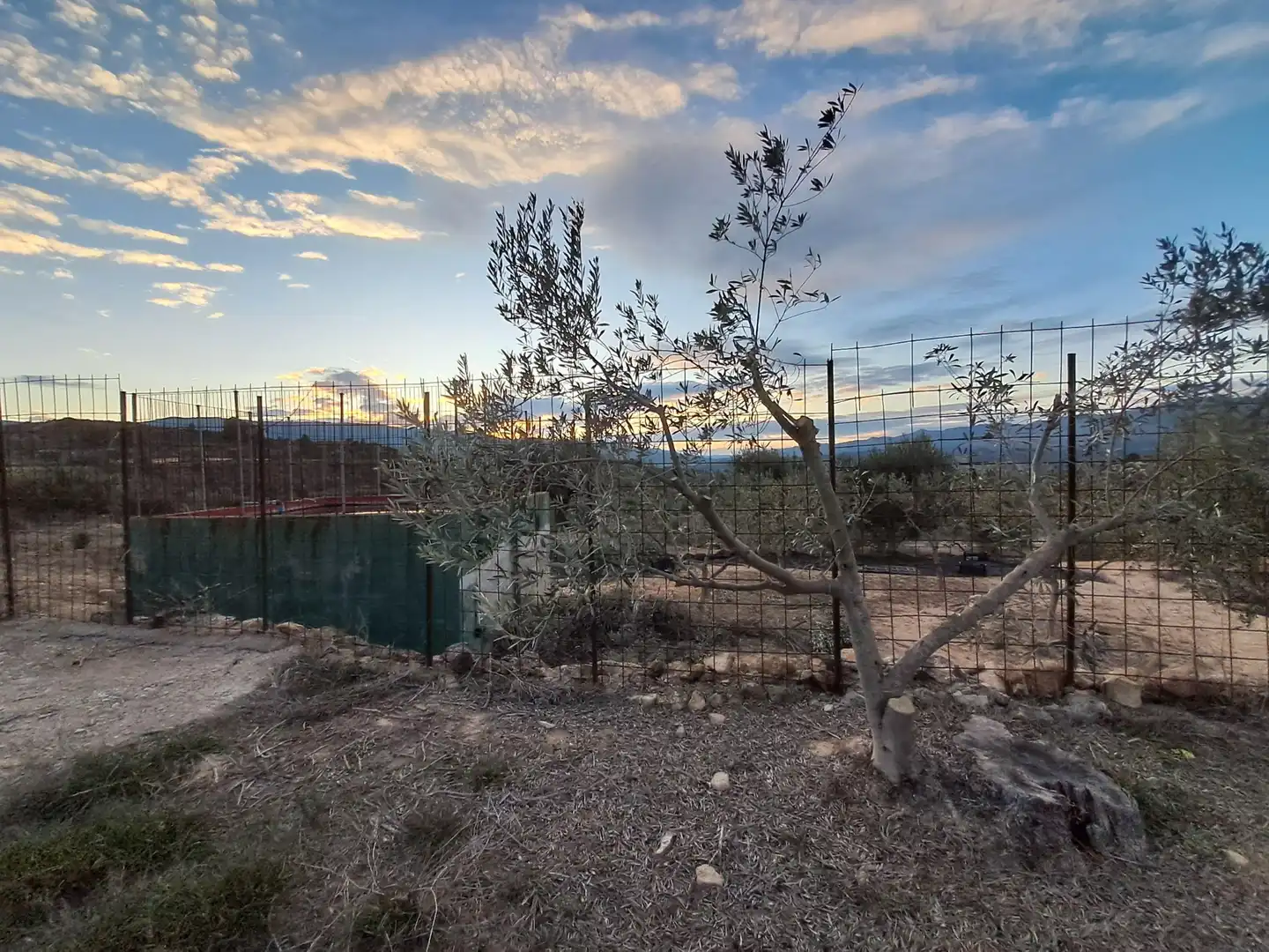 Rustikales Grundstück zum Verkauf in Riba-roja d'Ebre, imagen 10