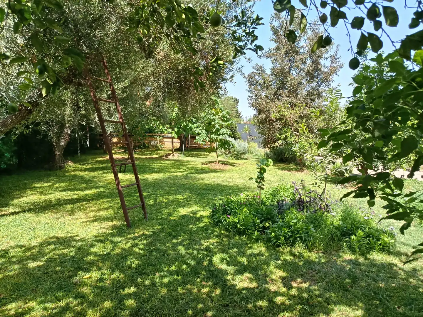 Villa avec piscine à louer à Urbanizacion el Campillo, imagen 65