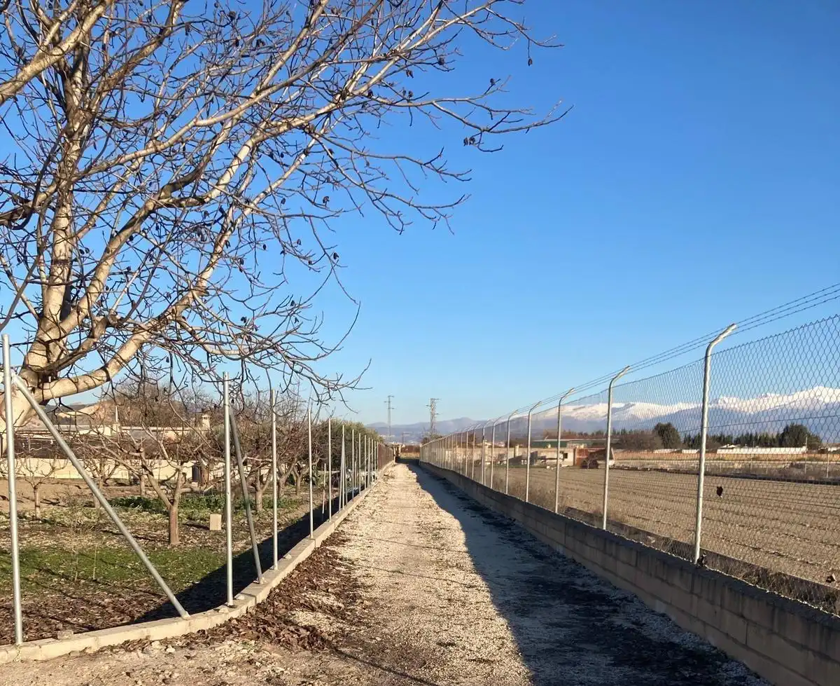 Casa rústica en venda a CARRETERA DE FUENTE VAQUEROS A ATARFE, imagen 15