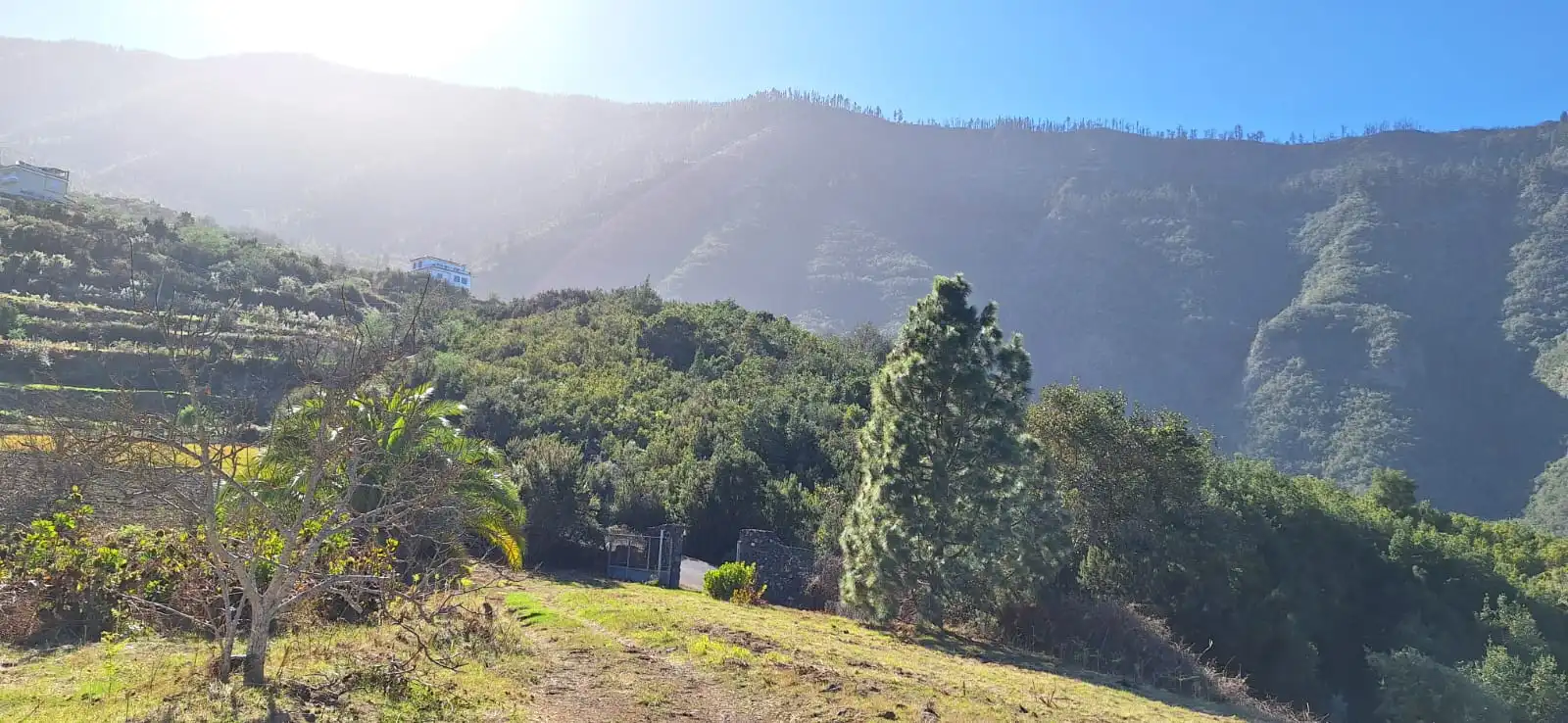 Vista exterior de Finca rústica en venta en Los Realejos con Jardín privado y Terraza