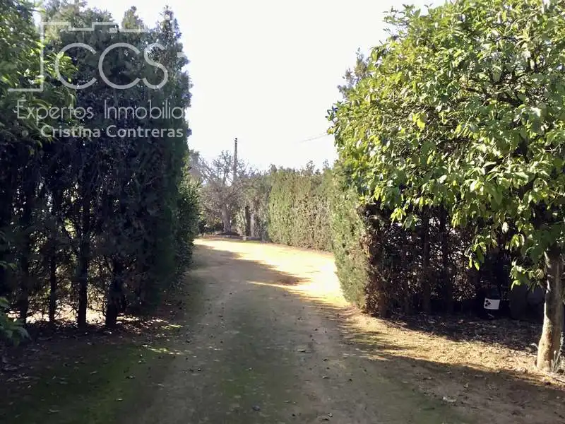 Chalet con piscina en venta en Sanlúcar la Mayor, imagen 12