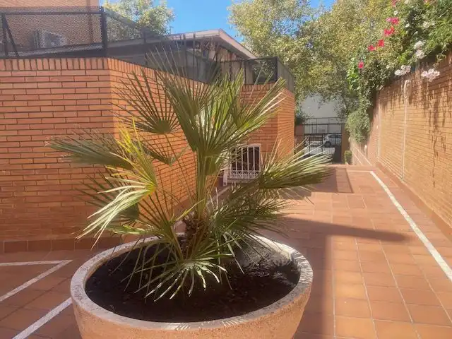 Terrace of Flat for rent in Sevilla  with Air Conditioner, Heating and Terrace