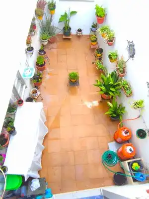Casa amb jardí en venda a Calle LOS REMEDIOS, imagen 11