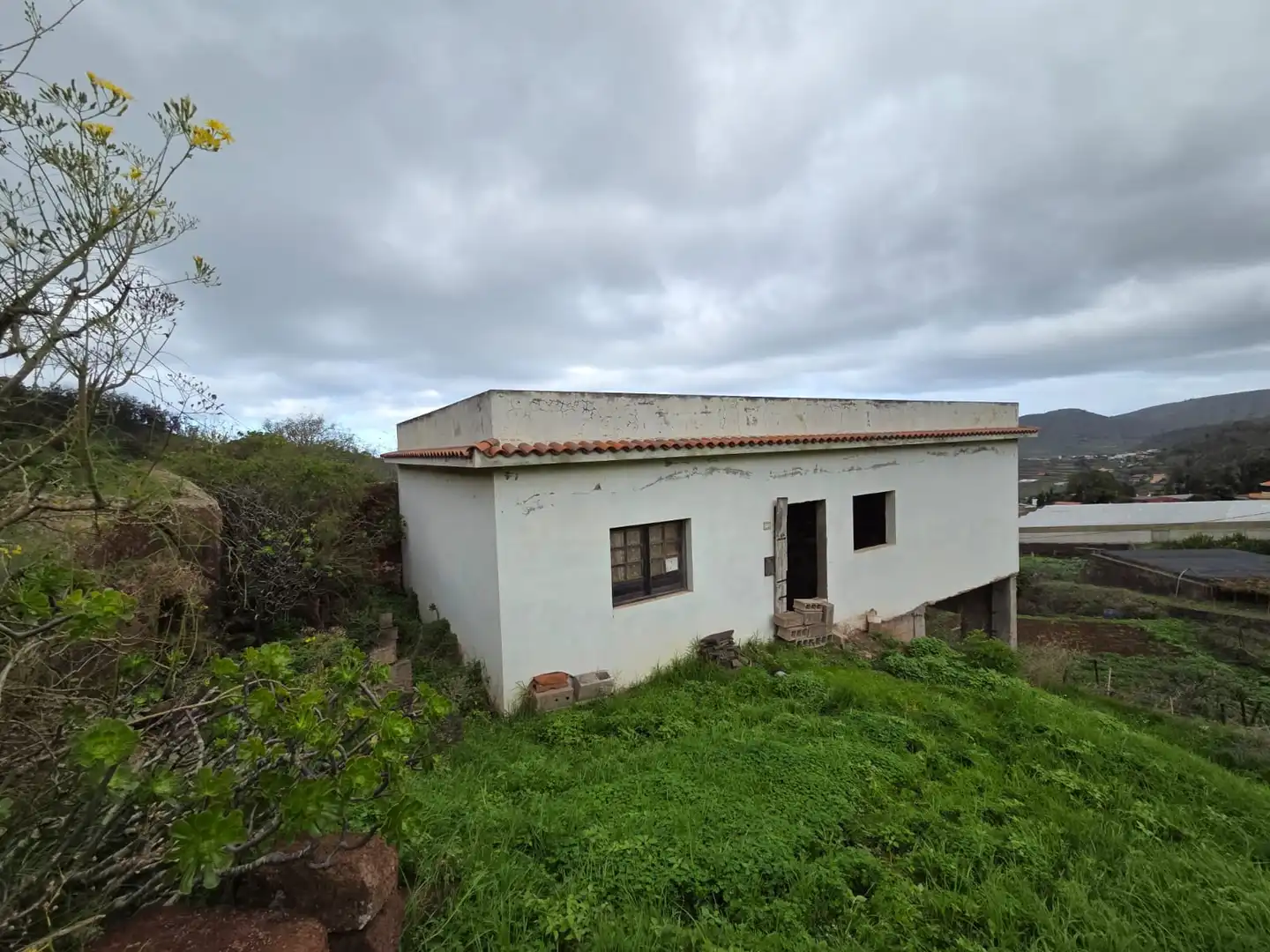 Vista exterior de Finca rústica en venta en Tegueste