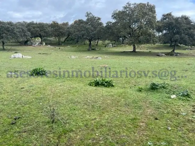 Terreno rústico en venta en El Pedroso, imagen 13