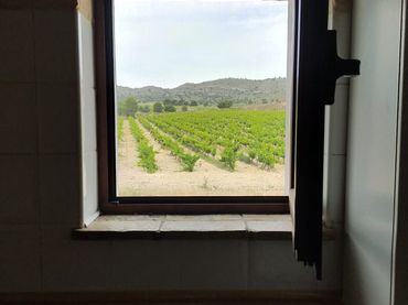 Terreno rustico in vendita a Yecla