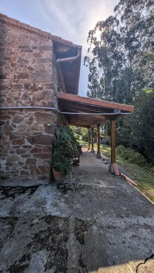 Maison rustique à vendre à MANUEL PEREZ MAZO, imagen 47