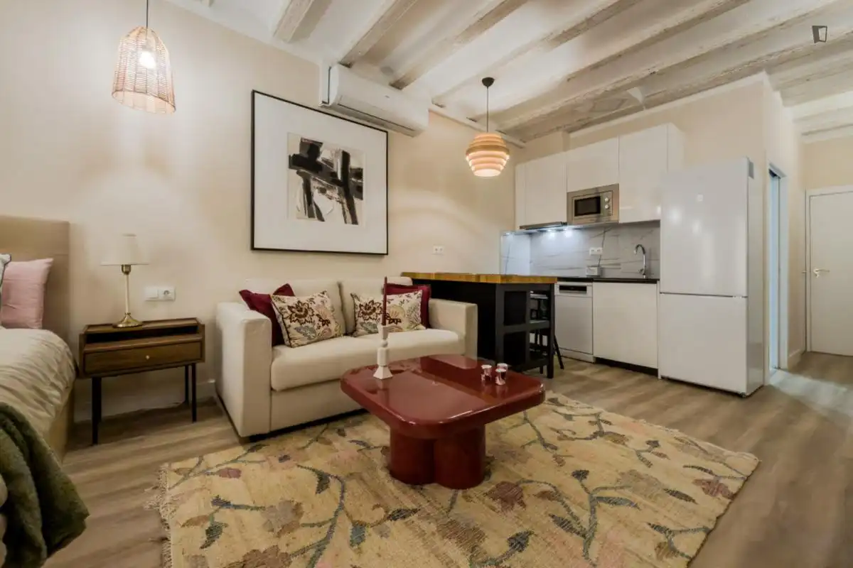 Wohnzimmer von Wohnung zur Miete in Barcelona mit Klimaanlage, Möbliert und Ofen