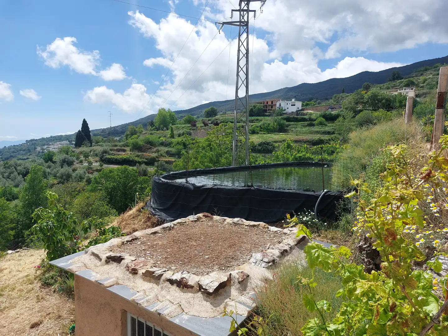 Garden of Land for sale in Pórtugos