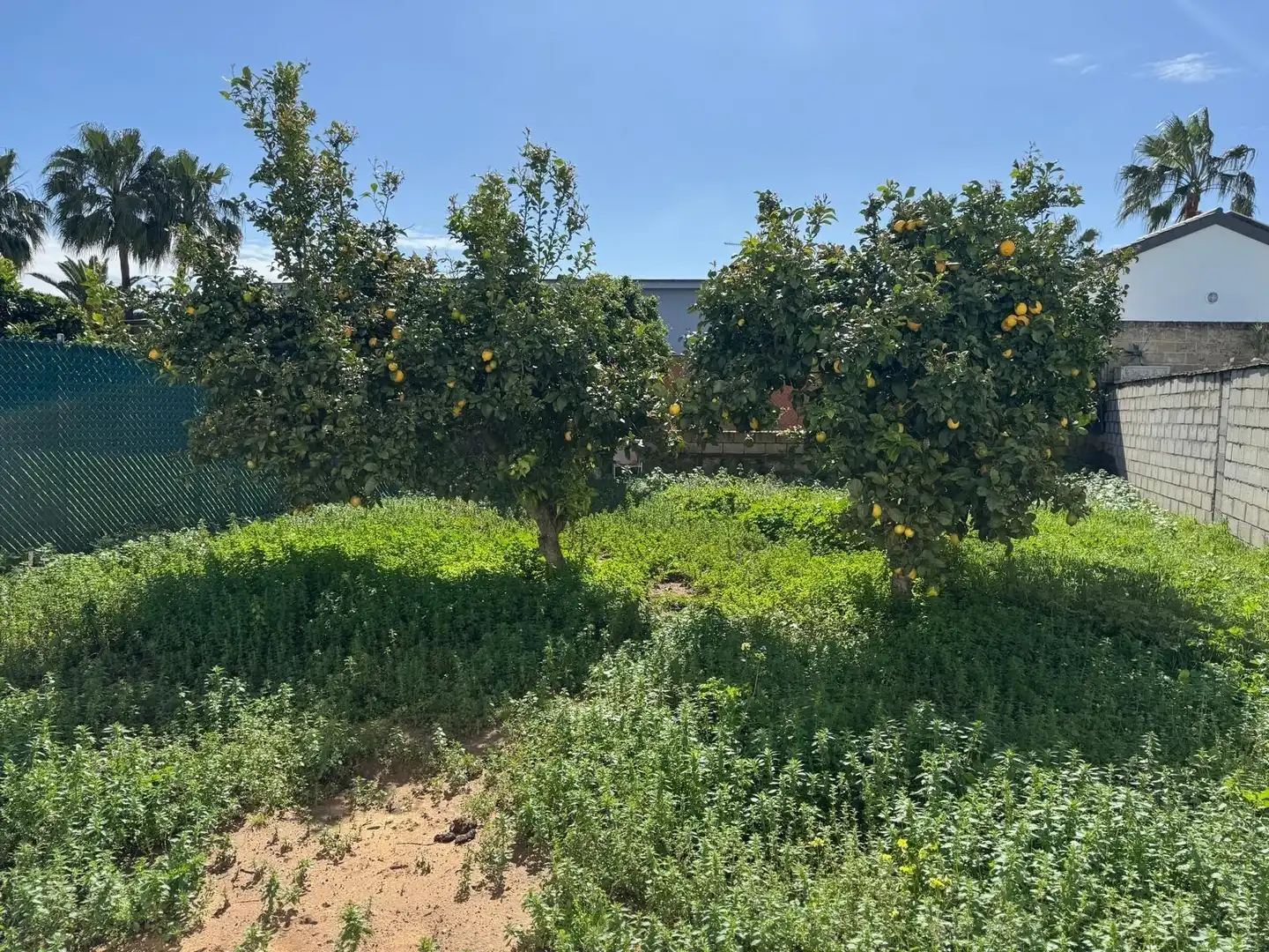 Villa mit Garten zum Verkauf in Calle MAR SERENA, imagen 39