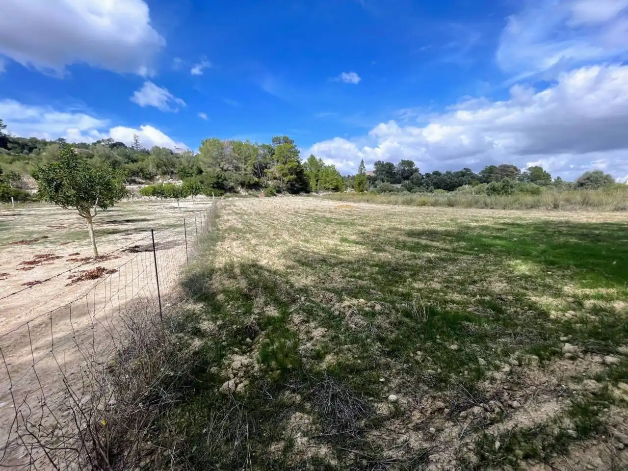 Rural land for sale in Calle poligono 1 parcela 48, imagen 2