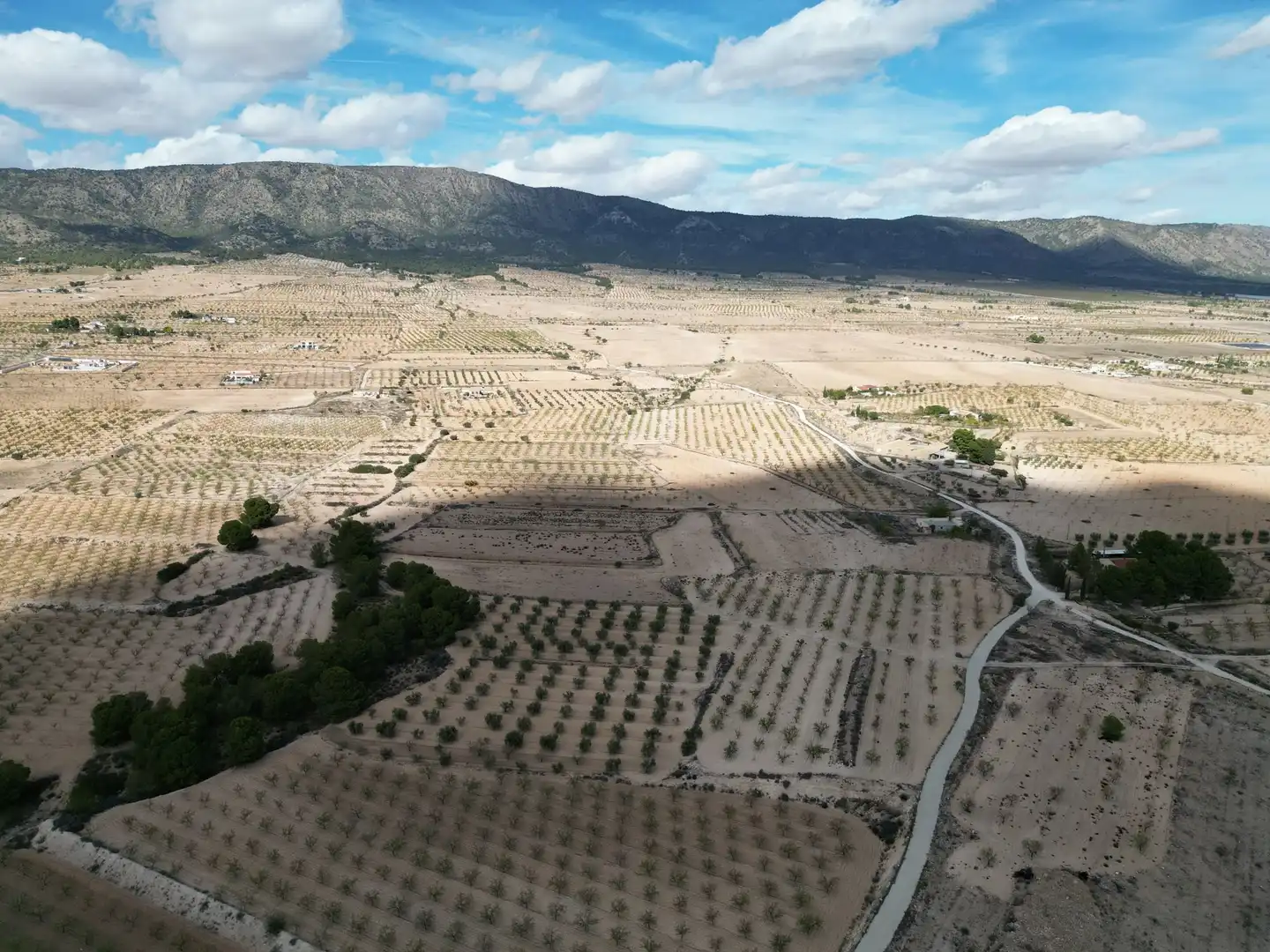Terreno residencial en venta en El Pinós / Pinoso, imagen 10