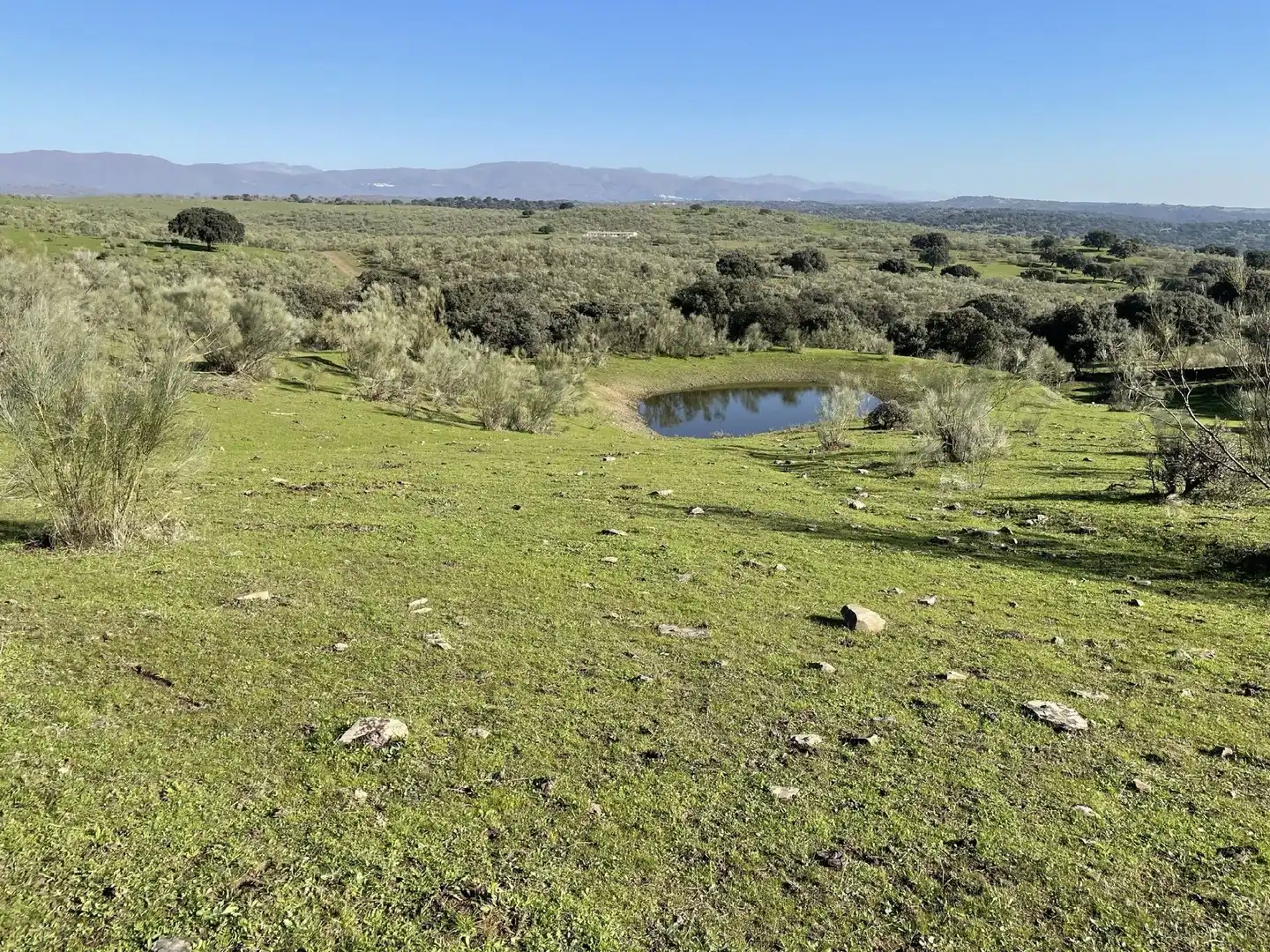 Terreni e lotti in vendita a Malpartida de Plasencia, imagen 6
