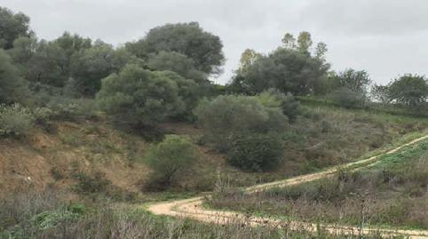 Photo 5 of Land for sale in Sierra del Valle y la Dorada, Fr 15, San José del Valle, Cádiz