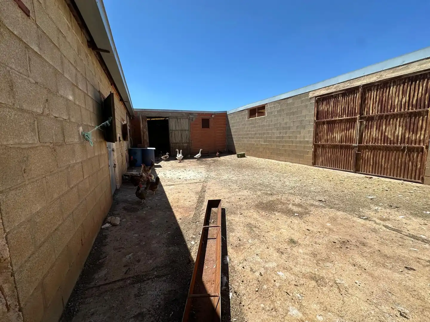 Rural land for sale in Carretera Valdepeñas-Ciudad Real, imagen 73
