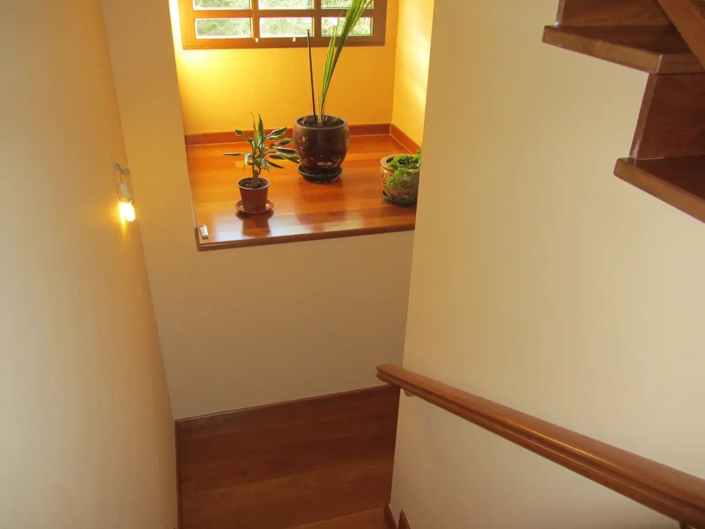 Casa o chalet en venta en N/A, -1, Urbanización Patricia - Campo