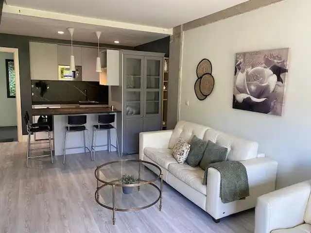 Sala d'estar de Loft de lloguer en Tres Cantos amb Aire condicionat, Terrassa i Balcó