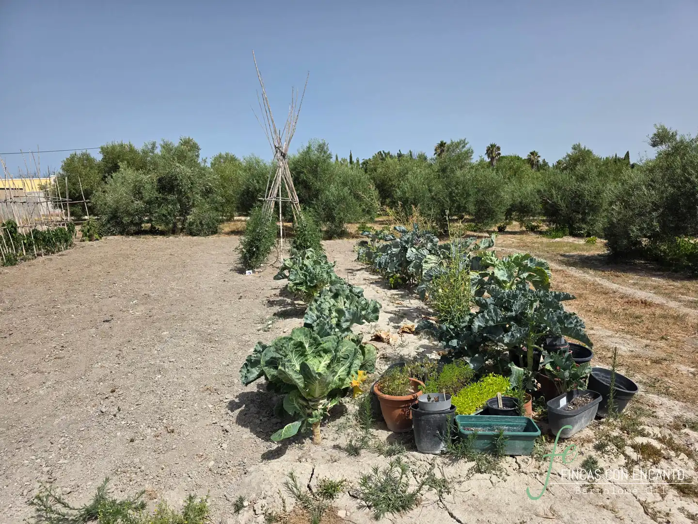 Casa rústica amb piscina en venda a Arcos de la Frontera, imagen 27