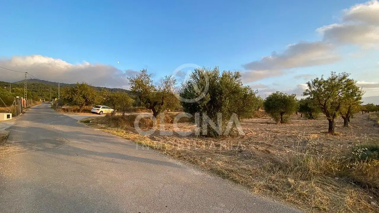 Terreno rústico en venta en Ibi, imagen 4