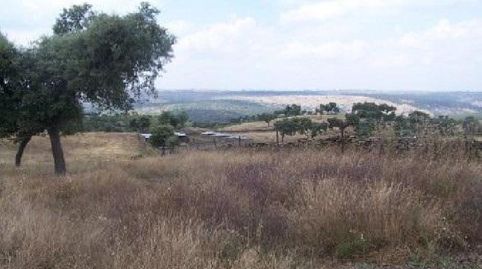 Foto 5 de Terreny en venda a Alcántara, Cáceres