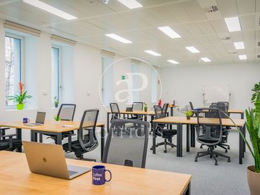 Büro zur Miete in P.º de la Castellana