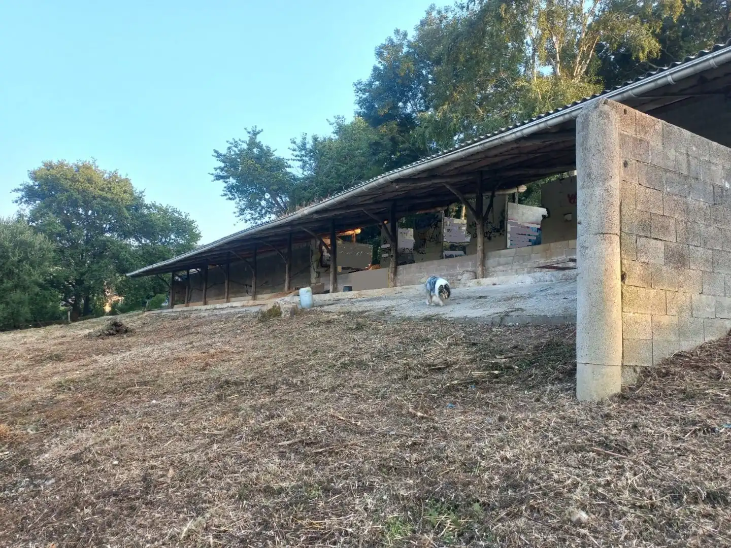 Vista exterior de Terreno en venta en Bakio