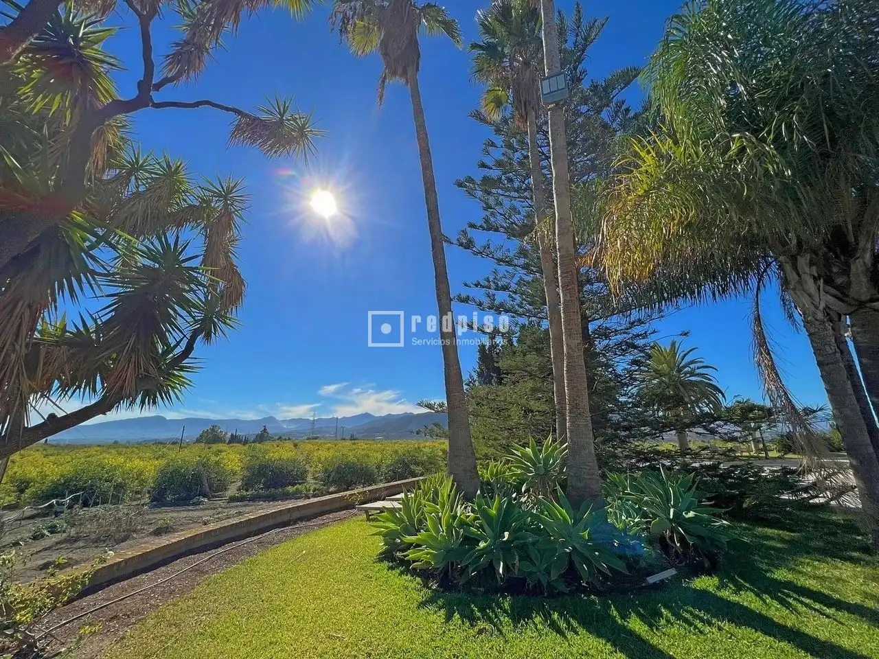 Vista exterior de Casa o chalet en venta en Cártama con Aire acondicionado, Terraza y Trastero