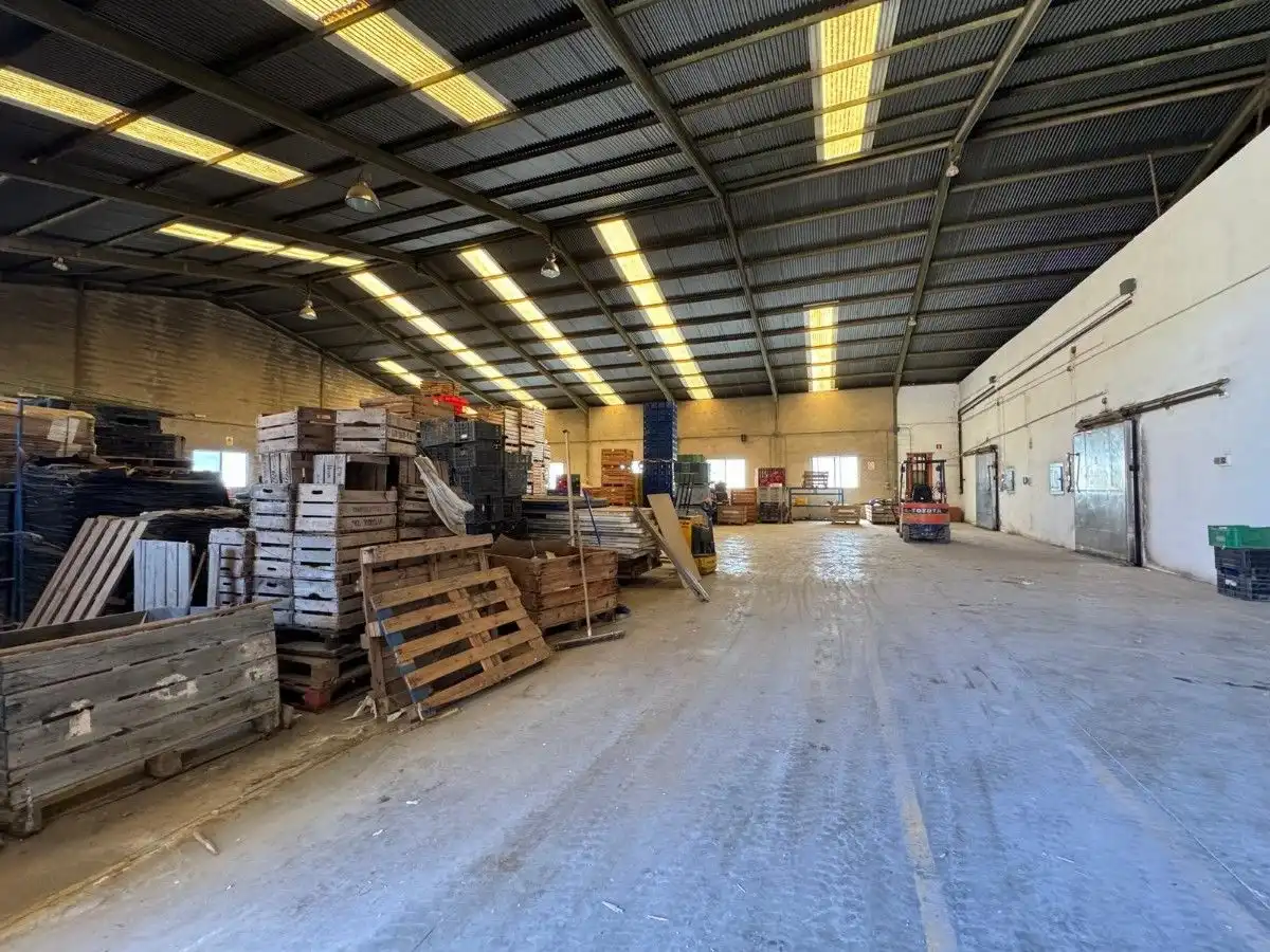Nave industrial in vendita a La Llosa de Ranes, imagen 11