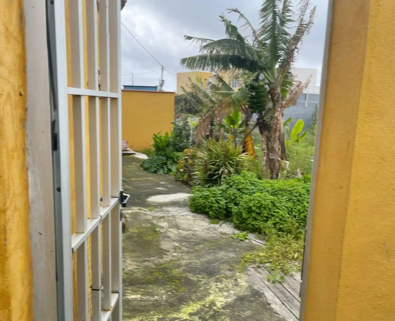 Casa o xalet en venda en Moya (Las Palmas) amb Traster