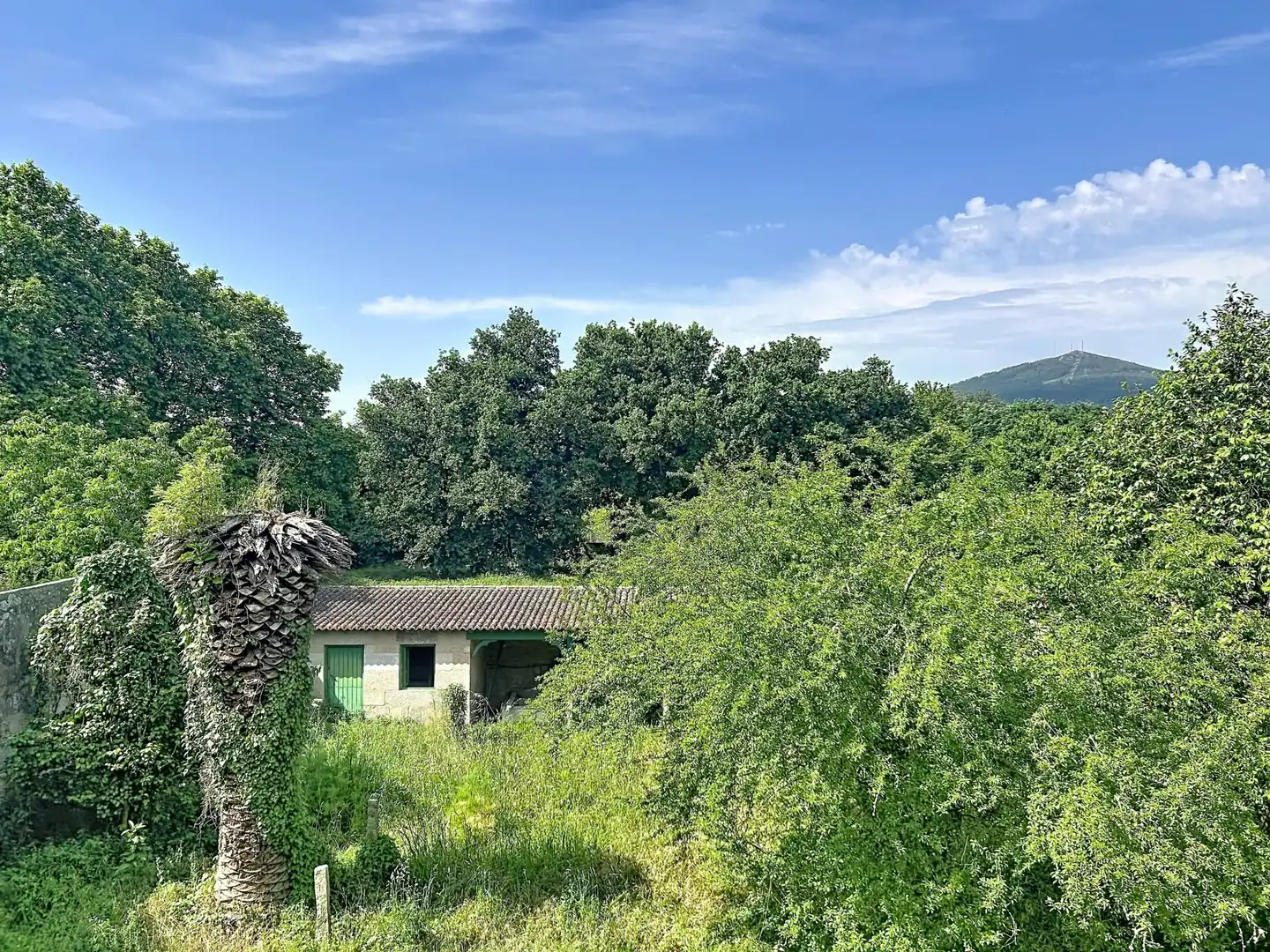 Finca rústica en venta en Pontecesures con Terraza y Balcón
