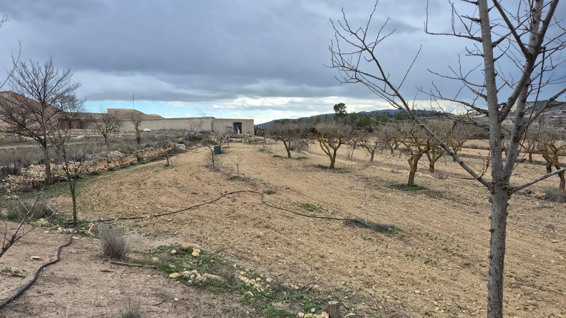 Country homes for sale in El Pinós / Pinoso  with Terrace