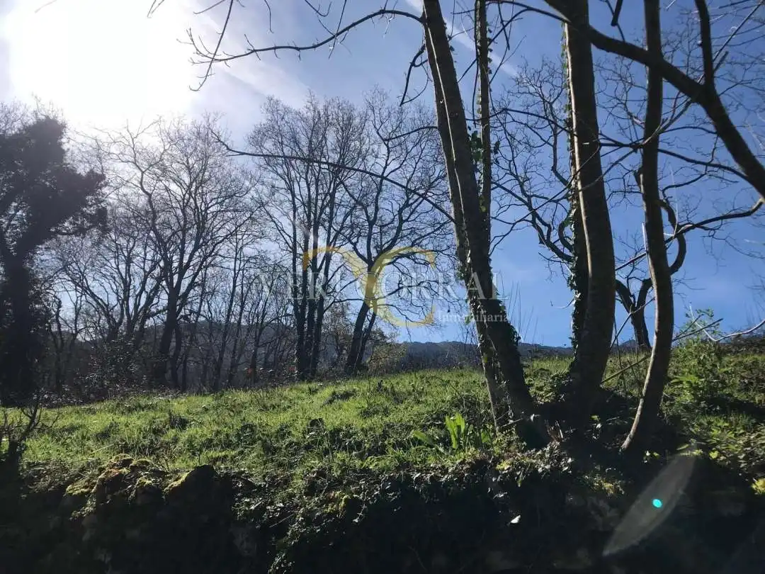 Terreno rustico in vendita a San Roque del Acebal, imagen 9
